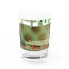 Catcatの猫ミッケ！ Water Glass :front