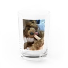 Tsukinomanjirouのかみかみハンニバル Water Glass :front