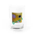 ぴーよこまる（セキセイインコ）のまるのじーっ！ Water Glass :front