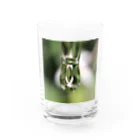 Mumearth Essenceのへんしん Water Glass :front