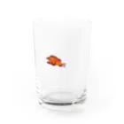 mamomamaのサカナ　さかな　がらかぶ　かさご Water Glass :front