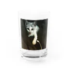 maya-jasmineのLove my プーチン Water Glass :front