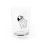 死体寝取りマンのヨウムくん Water Glass :front