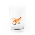 Sora_hの茶虎猫 Water Glass :front