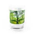 42のイタルの森のパノラマフォトグラフィック Water Glass :front