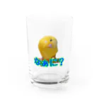 ぴーよこまる（セキセイインコ）のまるのなぁに？ Water Glass :front