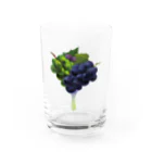 カワウソとフルーツの【forseasons】グレープ Water Glass :front