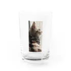 1193nutsのチャビ Water Glass :front