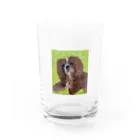 色々なキャバリアちゃんの油絵キャバリア Water Glass :front