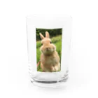 2kazu_5のうたっち　らび太 Water Glass :front