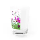 miyupo15のこすもす。秋桜。コスモス。 Water Glass :front