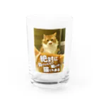 猫沢太陽の絶対に負けられない戦いが、猫にもある Water Glass :front