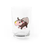 aNone sOnoneのスキニーギニアピッグ（毛のないモルモット） Water Glass :front