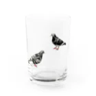 魚の目のお店のハト（スケルトン） Water Glass :front