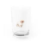 ちゃちゃまる　by来栖うさこのちゃちゃまるグラス Water Glass :front