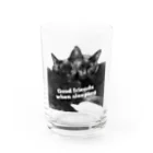 マロマロのKURONEKO Water Glass :front