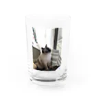 ゆるゆるやさんのかるちゃんグラス Water Glass :front