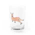 PCS-Gのだらしないカンガルー Water Glass :front