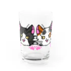 ねこねこうおのやんちゃなハチワレ君とミケネコ君 Water Glass :front