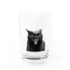 iguana_brosの黒猫がぎゃー Water Glass :front