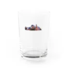 swissbank_410のリアルカバグラス グラス前面