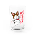 ravwaff(ラヴァッフ)のみたらし[気分が良い] Water Glass :front