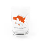 GREAT 7のオランダシシガシラ Water Glass :front