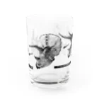 segasworksのTriceratops prorsus growth series Water Glass :front