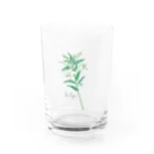 しおみ なおこ｜イラストレーターのFLOWER〈Lily〉 Water Glass :front