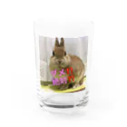 うさぎ３姉妹のきな子の戒めグラス Water Glass :front