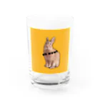 RAVI the rabbitのRAVI the rabbit Water Glass :front