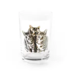 saraの猫 仲良し三兄弟 Water Glass :front