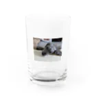 PIECE OF PEACEの愛犬シエル１８歳 Water Glass :front