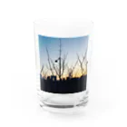 何者の青春の夜明け Water Glass :front