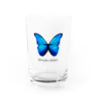 madのモルフォ蝶 Water Glass :front