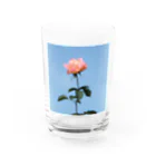 さーなの写真集の秋空の薔薇お写真んぽ Water Glass :front