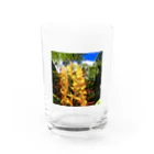 srgmtaroの南国花 Water Glass :front