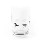 でこぱち商店のムクドリさんぽ Water Glass :front