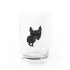 Dummy junkyのふんばるん！ Water Glass :front