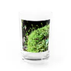 不思議商店の玉ちゃん Water Glass :front