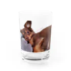 lovedogsの#Lovedogs Water Glass :front