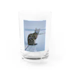 34のキメ顔 Water Glass :front