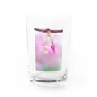 ゆる工房の河津桜 Water Glass :front