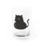 おひまみさたっくのふっくら猫（通常運転） Water Glass :front