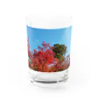 たむっち!の紅葉 Water Glass :front