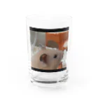 アヤナシトリィSHOPのキンクマハムスター　おつきみ日誌 Water Glass :front