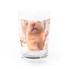 アヤナシトリィSHOPのキンクマハムスター　続 おつきみ日誌 Water Glass :front