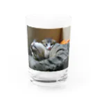 猫ちゃん犬ちゃんのご飯稼ぎの小梅母さんと茂平君のコップ Water Glass :front