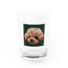 rilybiiのトイプードル Water Glass :front