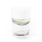 林 邦明 (クニさん)のシルバーアロワナ  Water Glass :front